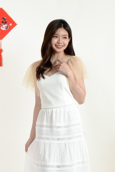 Laura Mesh Crop Top - White