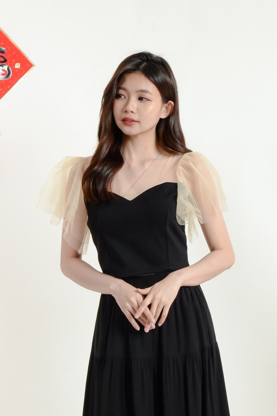 Laura Mesh Crop Top - Black