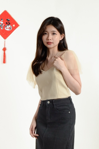 Laura Mesh Crop Top - Cream
