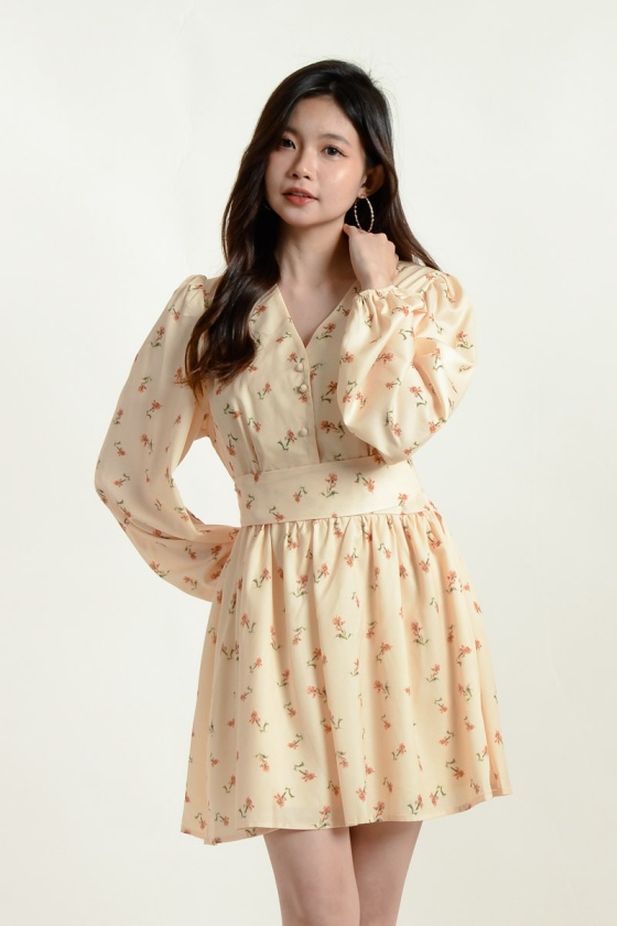 Liana Floral Long Sleeve Dress